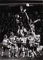 Martlesham Trophy (Mono Life) - Kruis Wins a Lineout for Saracens by David Robinson ARPS